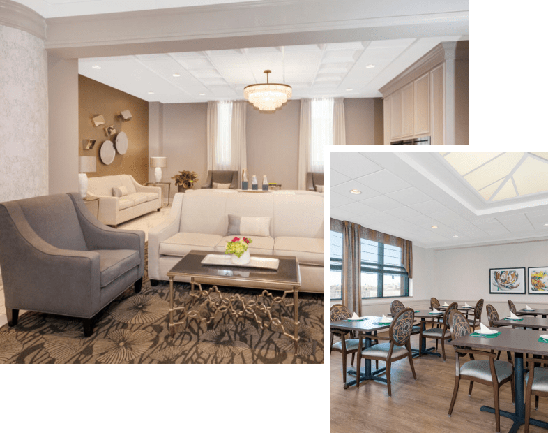 avantara-lincolnpark-collage2.png