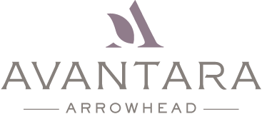 Avantara arrowhead logo