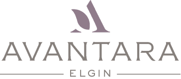 avantara elgin logo
